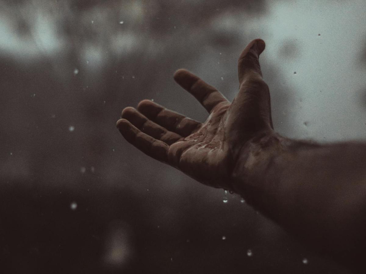 What Happened to Our Weather in&nbsp;Siliguri?